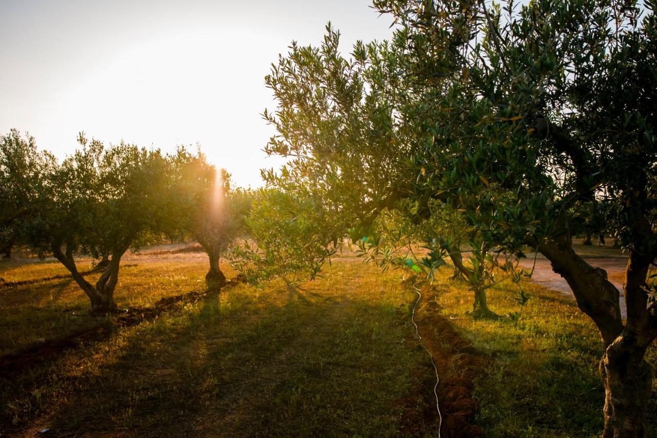Baglio Custera Otel Marsala Dış mekan fotoğraf
