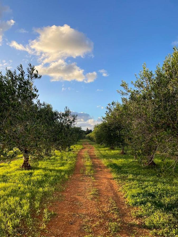 Baglio Custera Otel Marsala Dış mekan fotoğraf